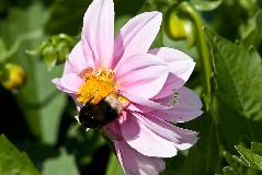 IMG_1850.jpg