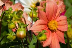 IMG_1853.jpg