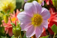IMG_1867.jpg