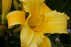 IMG_1883.jpg