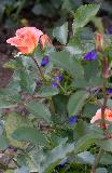 IMG_1894.jpg