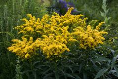 IMG_1902.jpg