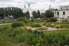 IMG_1911.jpg