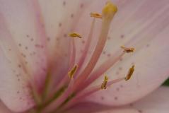 IMG_1925.jpg