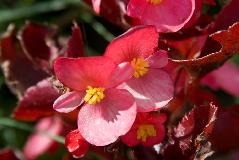 IMG_1944.jpg