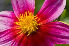 IMG_1975.jpg
