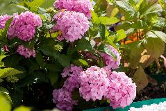 IMG_2049.jpg