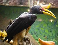 IMG_3586.jpg