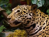 IMG_3591.jpg