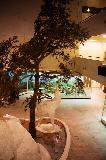 IMG_3595.jpg