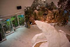 IMG_3596.jpg