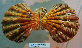IMG_3640.jpg