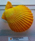 IMG_3641.jpg