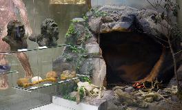 IMG_3668.jpg