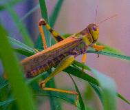 IMG_3685.jpg