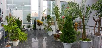 IMG_3691.jpg