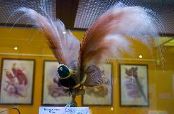 IMG_3697.jpg