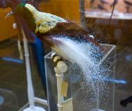 IMG_3698.jpg