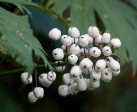 IMG_3715.jpg
