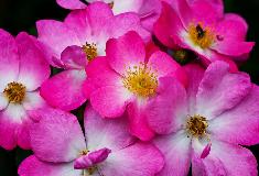 IMG_3816.jpg