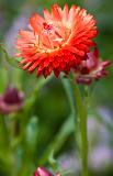 IMG_3819.jpg