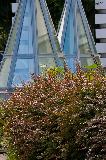 IMG_3827.jpg
