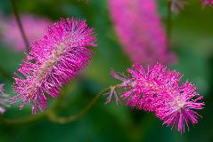 IMG_3834.jpg