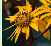 IMG_3839.jpg
