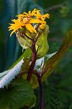 IMG_3841.jpg