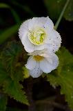 IMG_3844.jpg