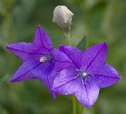 IMG_3846.jpg