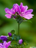 IMG_3847.jpg