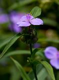 IMG_3848.jpg