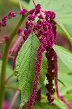 IMG_3855.jpg