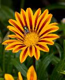 IMG_3861.jpg