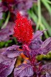 IMG_3864.jpg