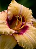 IMG_3897.jpg