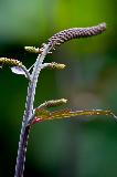 IMG_3902.jpg
