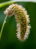 IMG_3903.jpg