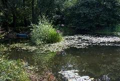 IMG_3913.jpg
