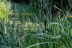 IMG_3918.jpg