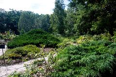 IMG_3923.jpg
