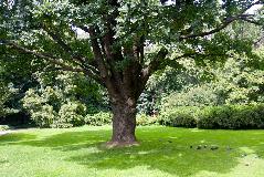 IMG_3933.jpg