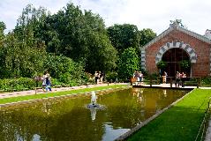 IMG_3941.jpg