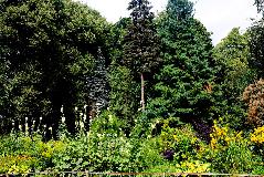 IMG_3942.jpg