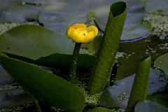 _MG_4134.jpg