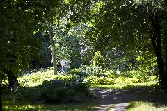 _MG_4157.jpg