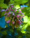 _MG_4166.jpg
