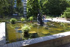 _MG_4171.jpg