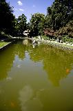 _MG_4181.jpg